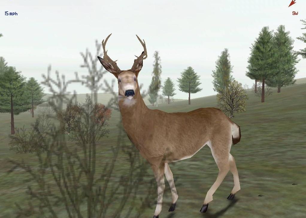 Deer Hunter 2005 1.3 Patch