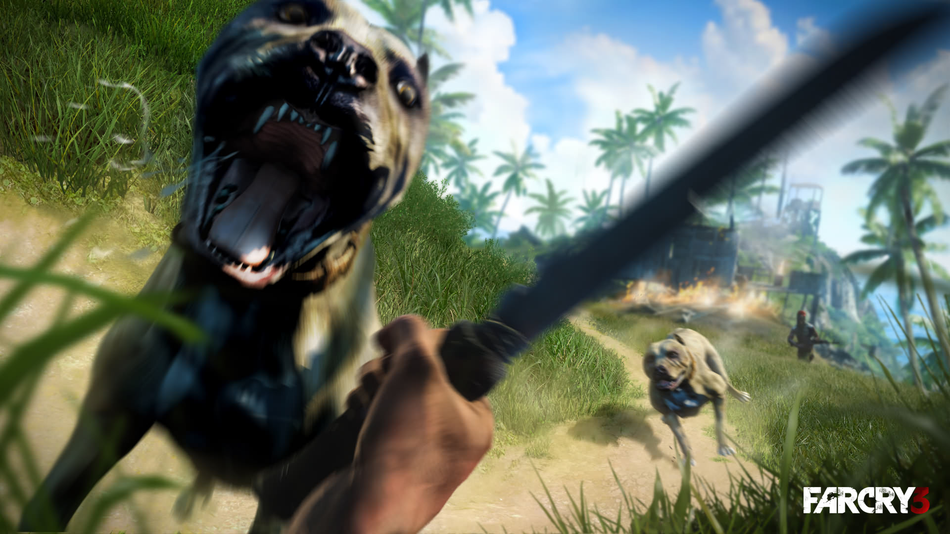 Far Cry 3 Patch 1.05 Crack