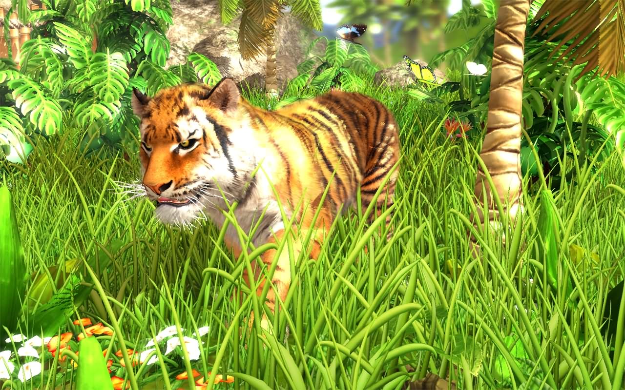 Download this Wildlife Park Patch picture