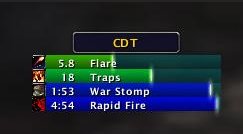 World of Warcraft Addon - Cooldown Timers r55487